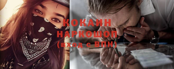 дживик Заводоуковск