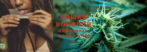 дживик Заводоуковск