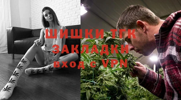 дживик Заводоуковск